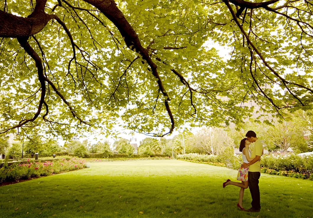 Honeymoon couple kissing in Spring