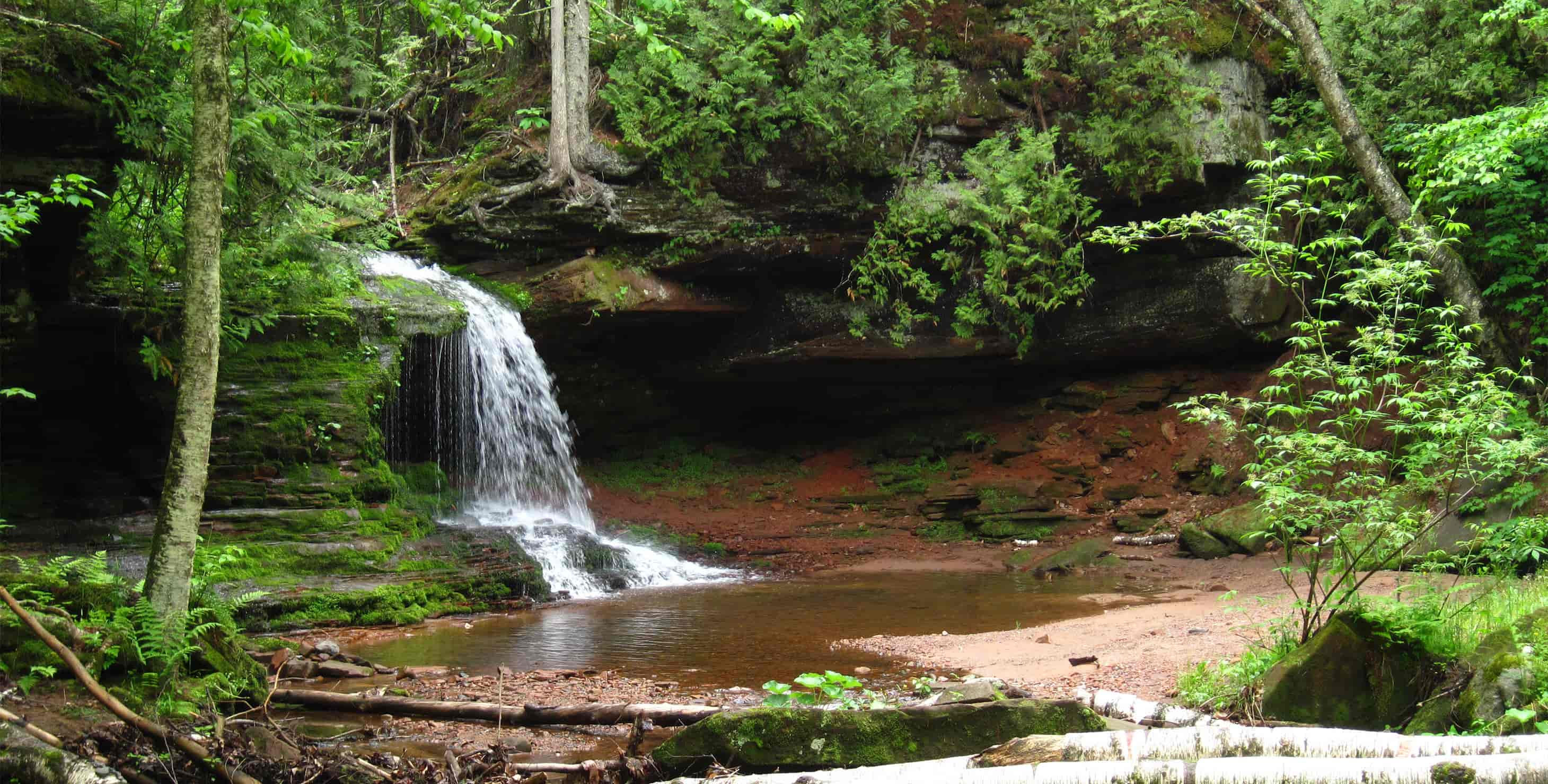 Waterfall surrounded by lush green trees