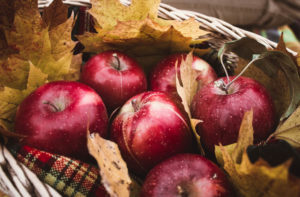 Photo of apples from one of the fall activities in Wisconsin