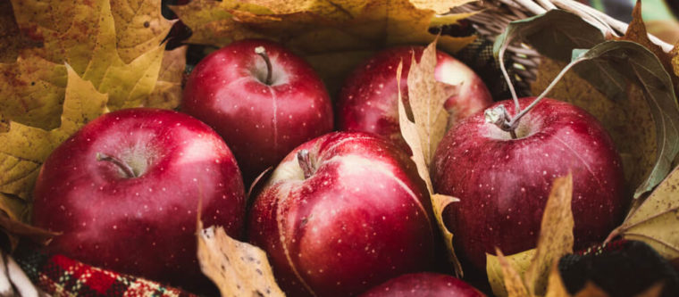 Photo of apples from one of the fall activities in Wisconsin
