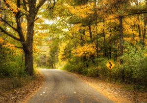 Photo of fall foliage in Wisconsin