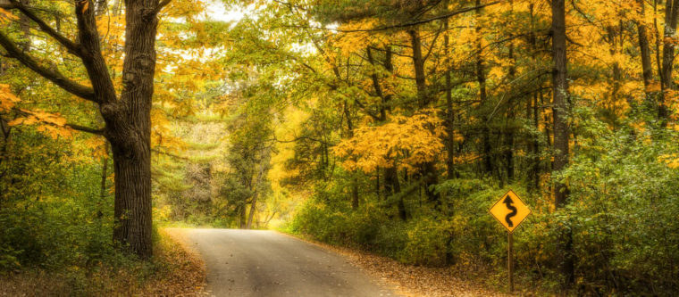 Photo of fall foliage in Wisconsin