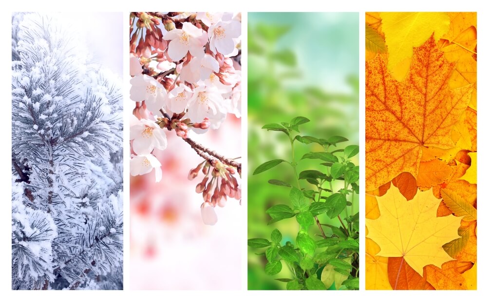 winter, spring, summer, and fall landscapes for Bayfield WI weather