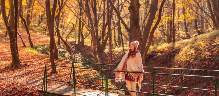 Wisconsin fall trail with hiker