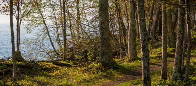 View of hiking trail in Bayfield WI on Lake Superior