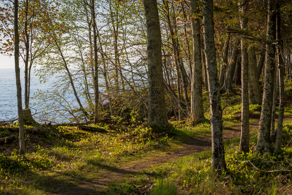 View of hiking trail in Bayfield WI on Lake Superior