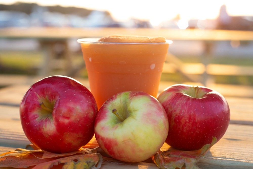 Apples and cider at the Bayfield Apple Festival